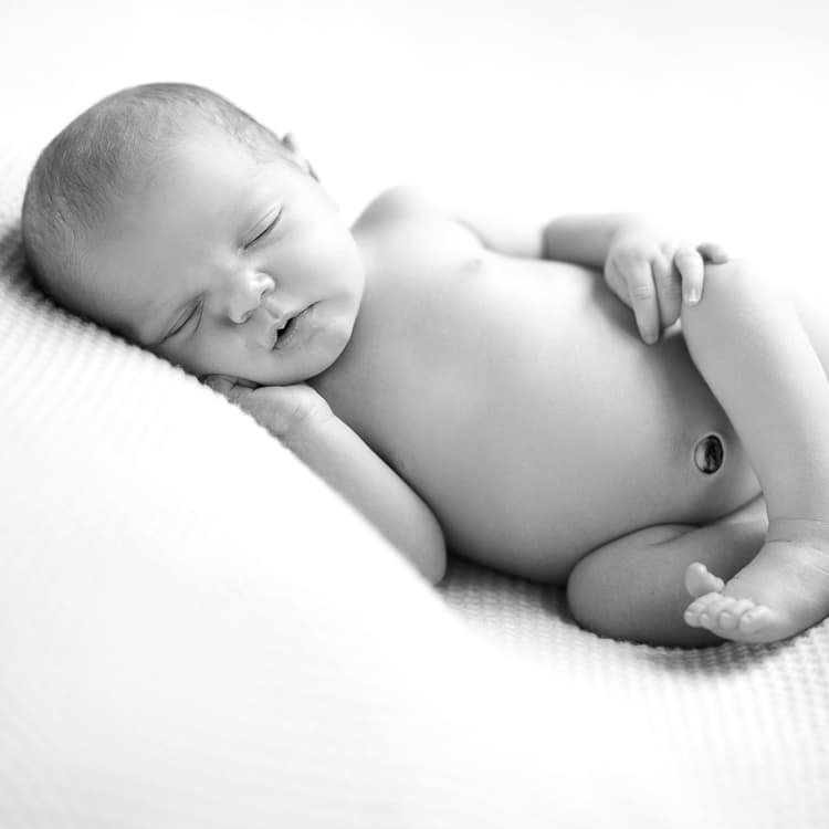 Signature portrait 7